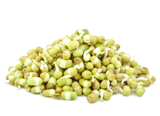 Green Lentil Sprouts